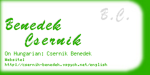 benedek csernik business card